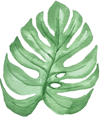 Watercolor Green Tropical Monstera Leaf