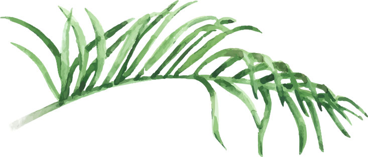 Palm Leaf Watercolor Illustration